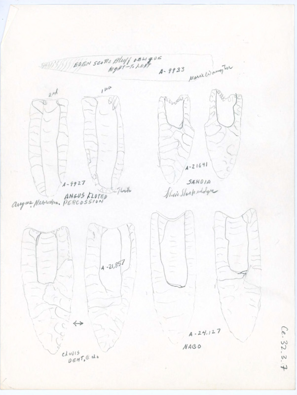 Hand drawn sketches of artifacts from Eden Scotts Bluff that appear to have been sent by Marie Wormington. Each artifact has both sides drawn and labeled.