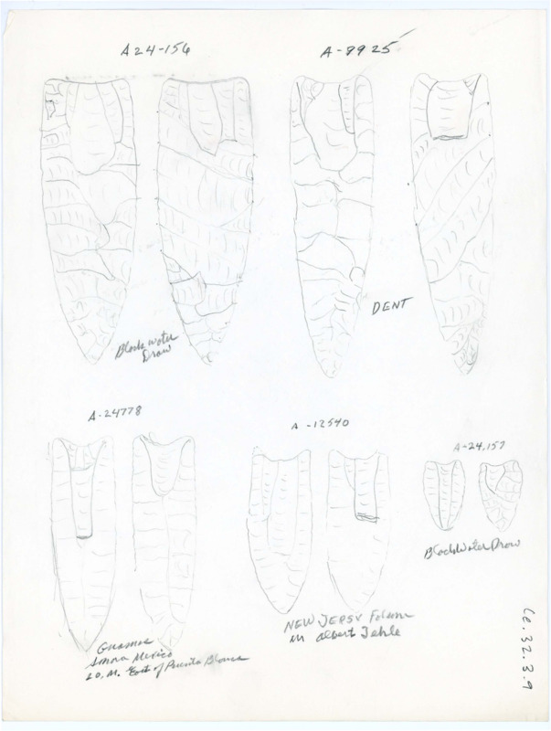 Hand drawn sketches of artifacts with both sides of the points drawn. There are descriptions for most of the artifacts pictured,