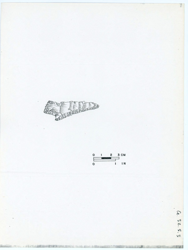 Printed sketch of a projectile point with great detail and a scale bar.