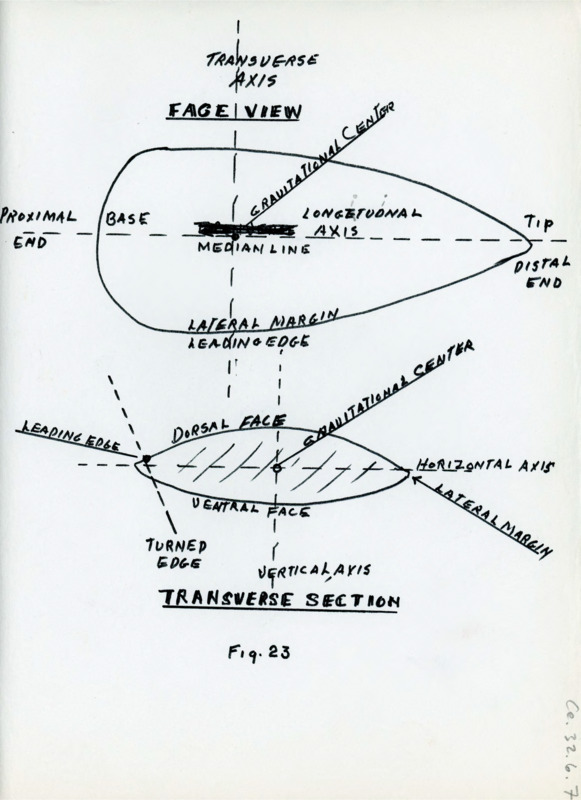 Hand drawn diagram of the face view and transverse section of a flake with notes.