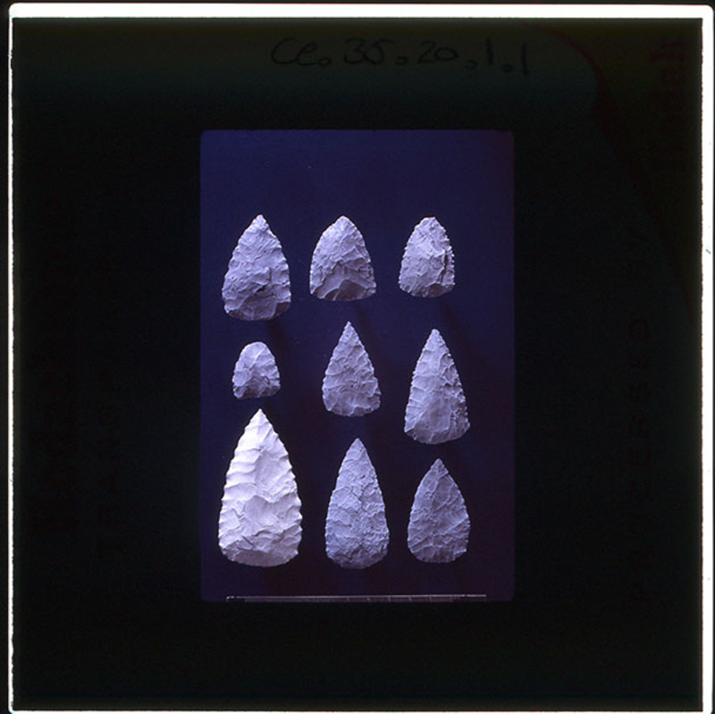 A scanned negative of lithic points from Palliaike Cave. A scale is included.