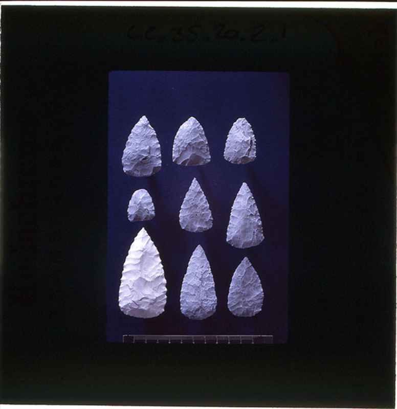 A scanned negative of lithic points from Palliaike Cave. A scale is included.