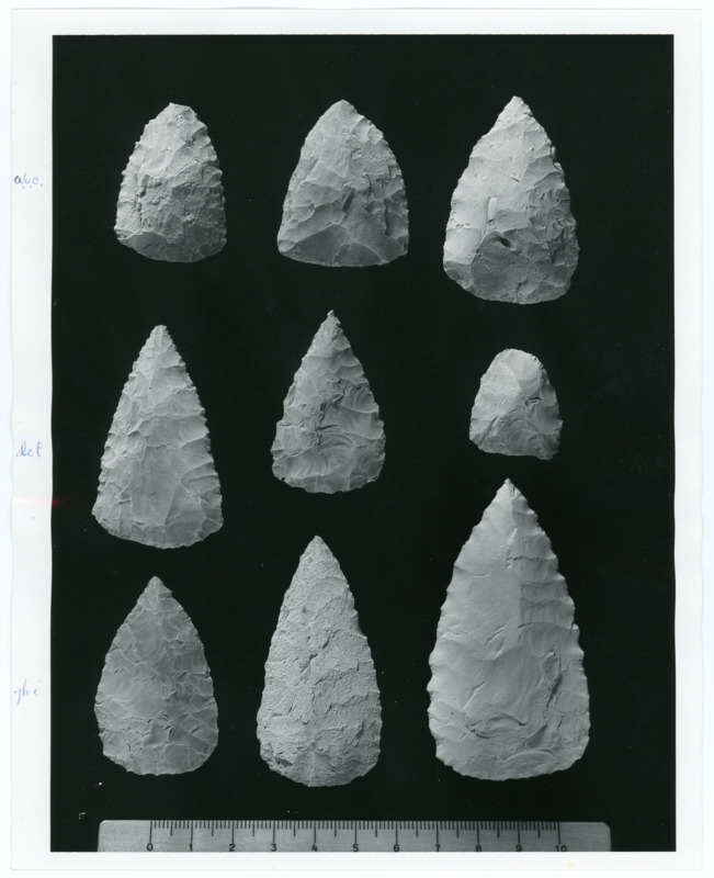 A scanned negative of lithic points from Palliaike Cave