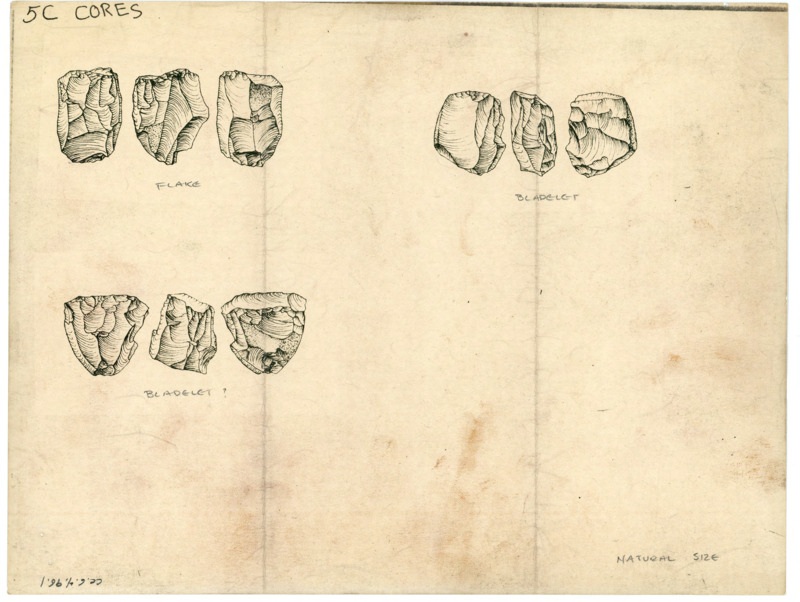 Printed images of various cores.