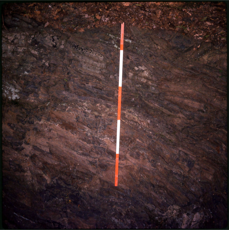 A series of scanned photos that include a lithic formation and a series of lithic flakes. The pictures are accompanied by a scale.