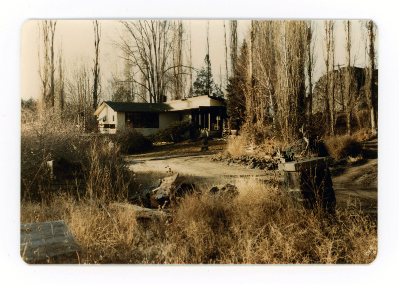 The front of a postcard decorated with a picture of a house concealed by trees and tall grass.