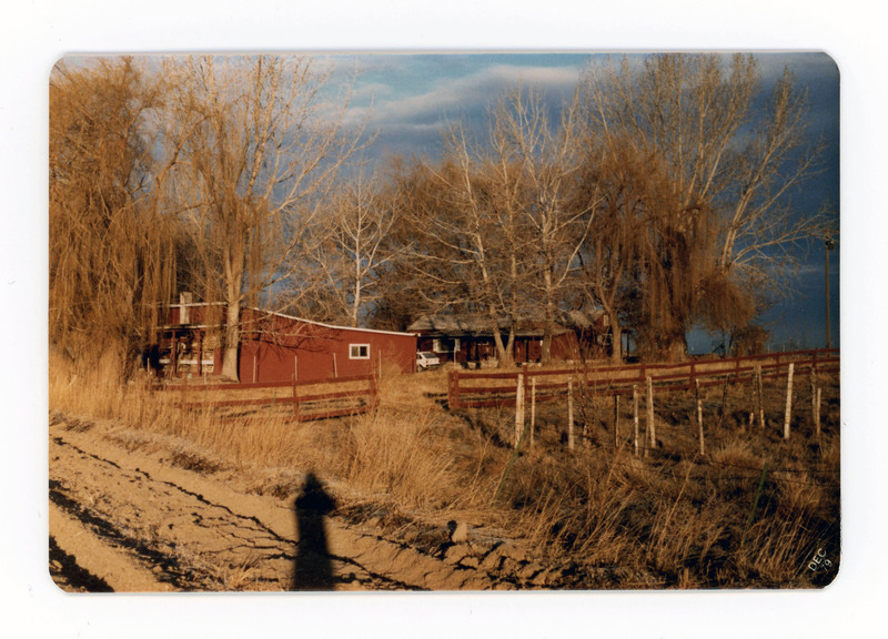 The front of a postcard decorated with a picture of a fenced house concealed by trees and tall grass.