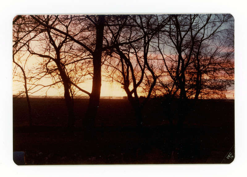 The front of a postcard decorated with a picture of a scenic sunset framed by trees.