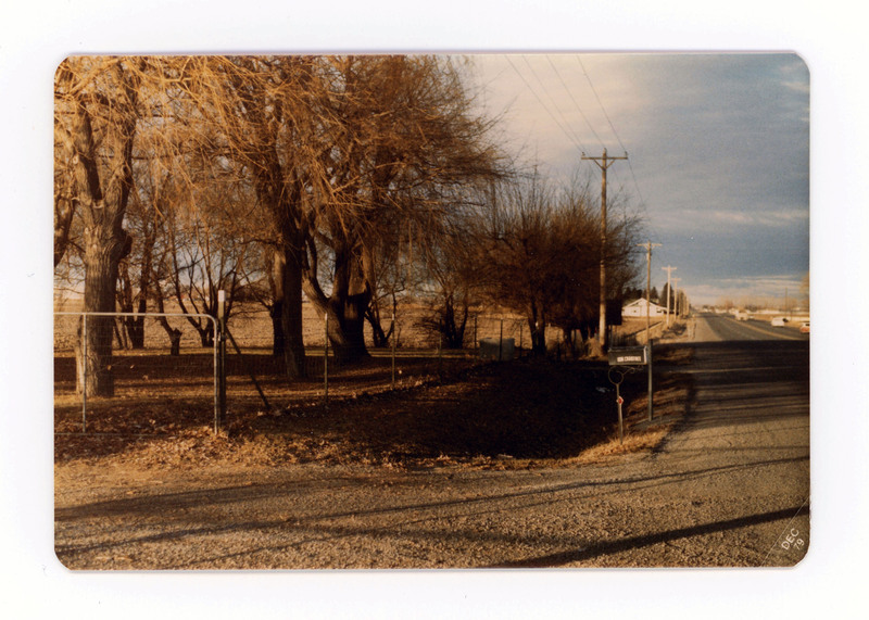 The front of a postcard decorated with a picture of a tree-lined street. A mailbox lists the Crabtree's address..