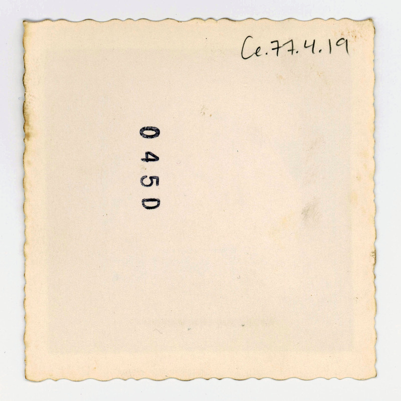 The back of a printed picture labelled "045D".