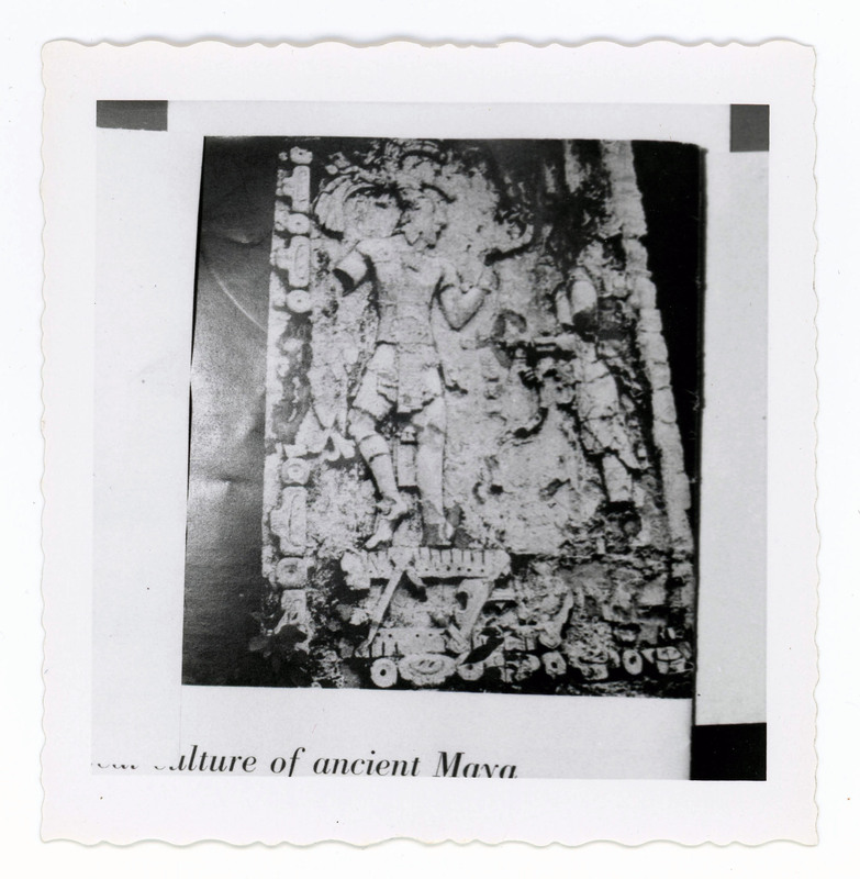 A printed picture of a textbook image of a Mayan stone relief.