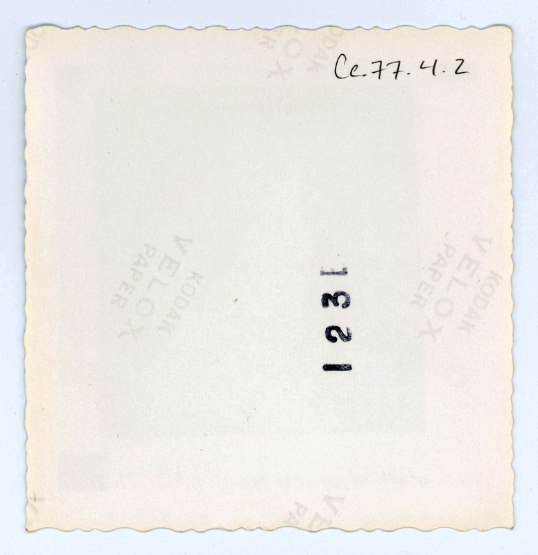 The back of a printed picture labelled "123E".