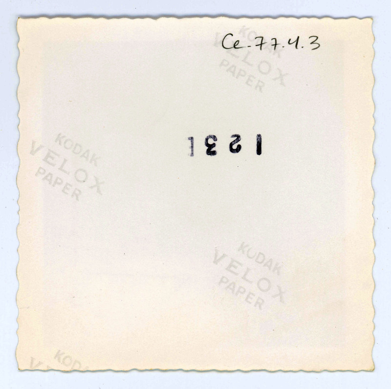 The back of a printed picture labelled "123E".