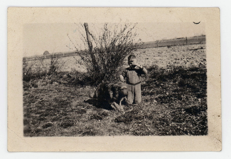 A photo of a young child sitting outside in a field next to a dog. The dog is moving. There is a fence in the background.