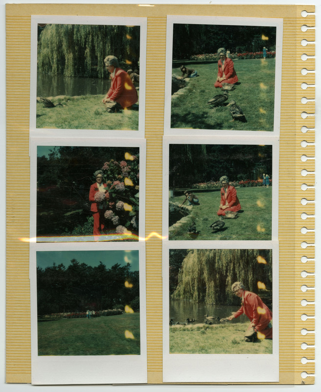 Image of Evelyn Crabtree feeding ducks by a pond. Image of Evelyn Crabtree feeding ducks by a pond. Image of Evelyn Crabtree posing next to hydrangeas. Image of Evelyn Crabtree feeding ducks by a pond. Image of a flower garden in a park. Image of Evelyn Crabtree feeding ducks by a pond.