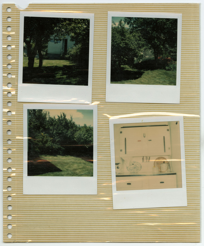 Image of a house behind trees. Image of a house behind trees. Image of the yard of a house. Image of a kitchen cabinet and counterspace.