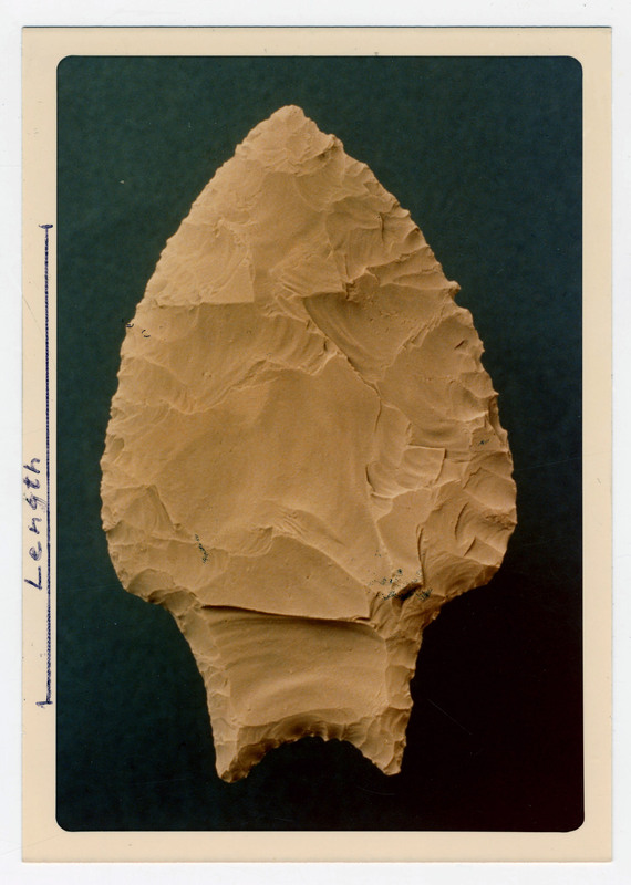 The back of a lithic point from Panama. The back of the photo describes its length as 4.4mm and its thickness at its center as 4.9mm. It is signed by Junius Bird.