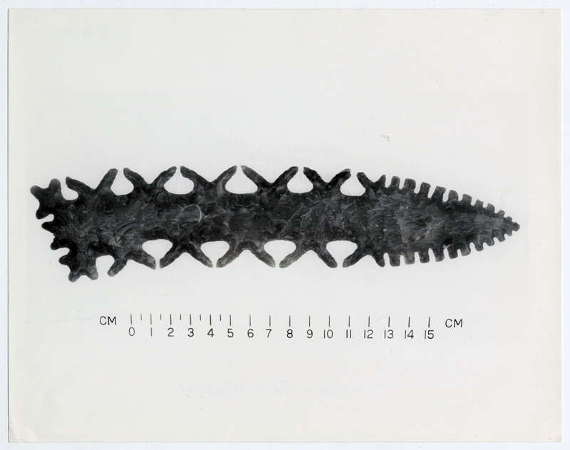 A lithic point with intricate serration next to a scale. The back of the photo lists the image as property of the University of California, San Diego. It is signed "From Ted Folsom".