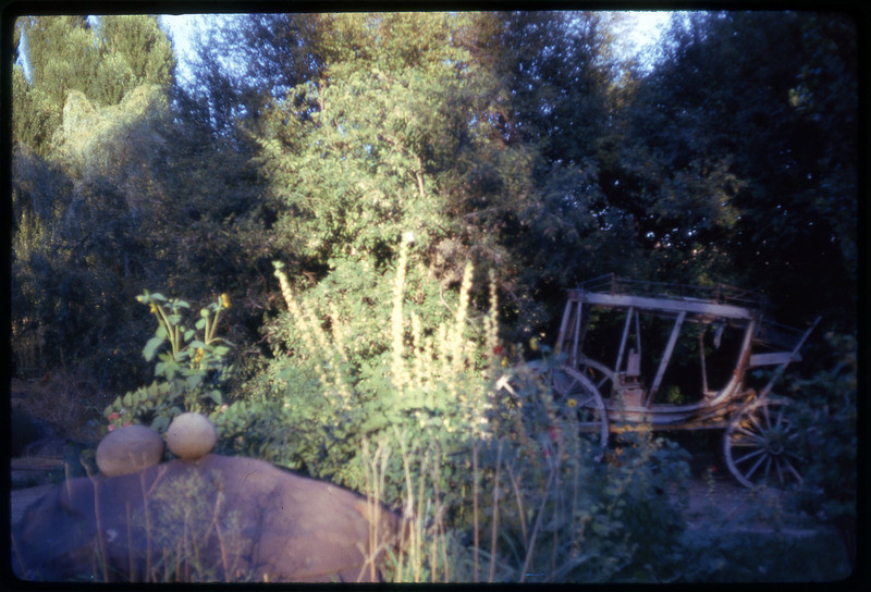 A photographic slide displaying a cart in some overgrowth. The cart is to the back and right side, behind a large rock with two smaller rocks on top of the first to the front left.