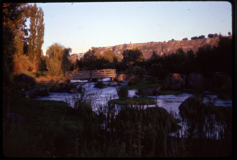 A photographic slide displaying a tree-lined river at sunset. There are small islands in the river, and a patch of tall plants in front of the shore.