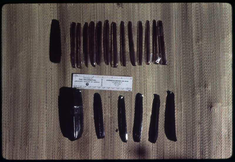 A photographic slide of a series of obsidian cores and blades struck from it accompanied by a measuring scale.