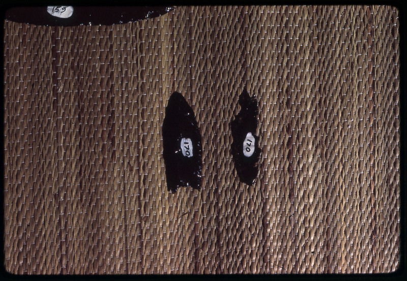 A photographic slide of two obsidian arrowheads labelled "170".