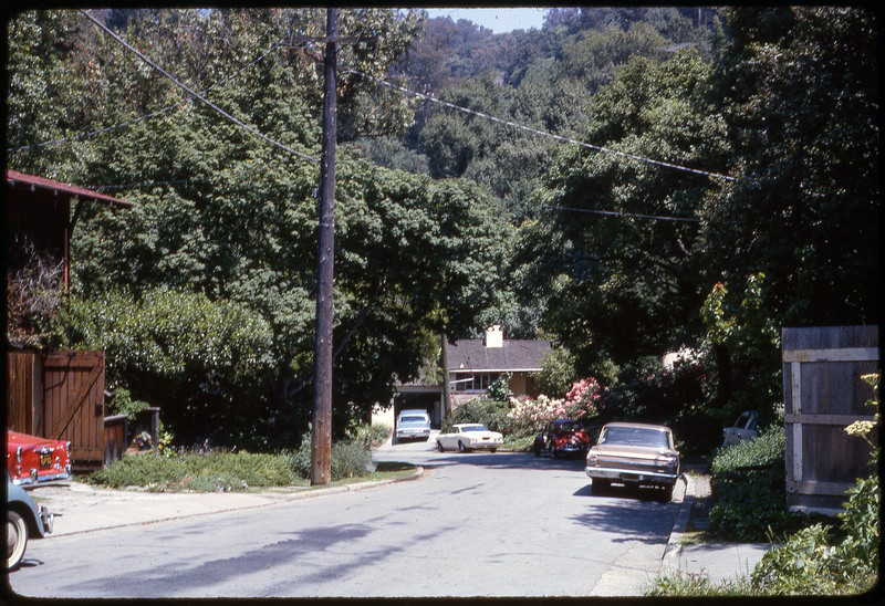 A photographic slide of a neighborhood surrounded by trees and greenery.