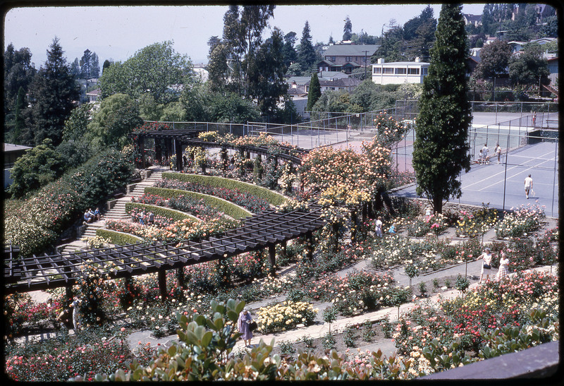 A photographic slide of a pavilion adorned with a variety of beautiful flowers next to a tennis court.