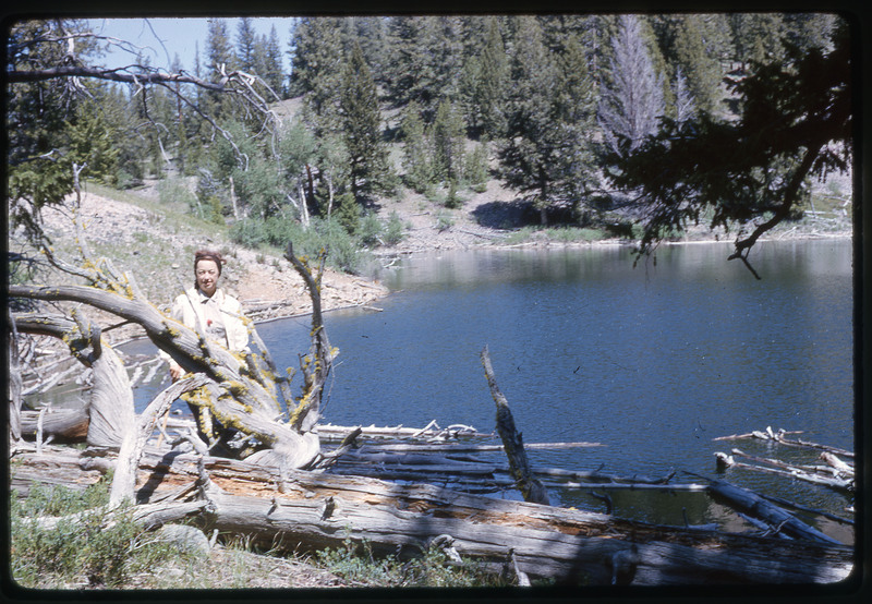 A photographic slide of Evelyn Crabtree standing on a fallen tree on the shore of a river.