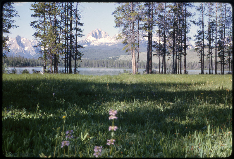 A photographic slide of a flowery meadow in front of a body of water surrounded by mountains.