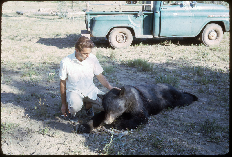 A photographic slide of a man holding the ear of a dead bear.