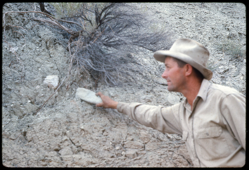 A photographic slide of a blurry view of a man pulling a rock off the side of a cliff.