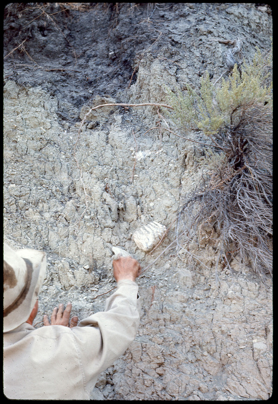 A photographic slide of a man pulling a rock off the side of a cliff.