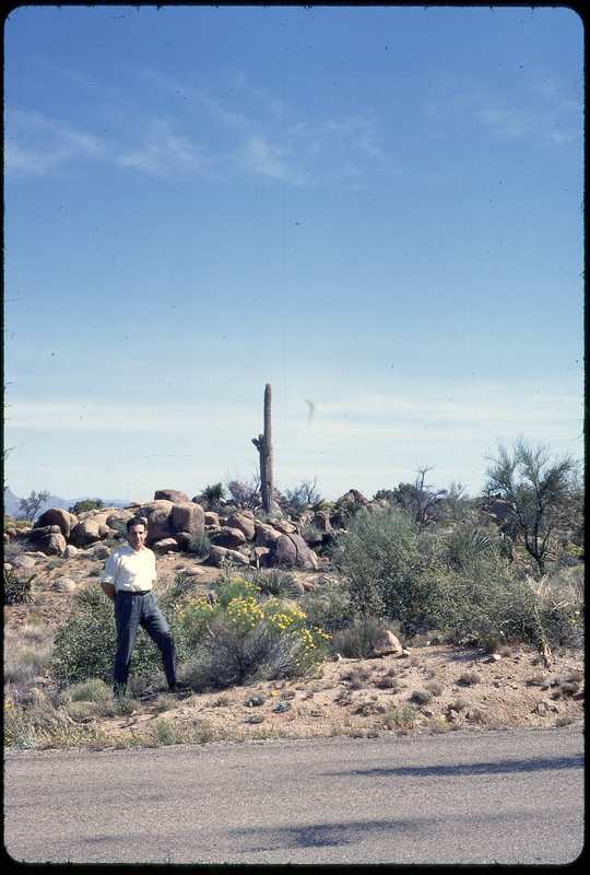 A photographic slide of a man posing in front of a tall cactus surrounded by rocks.