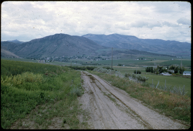 A photographic slide of a dirt road running through a grassy field.