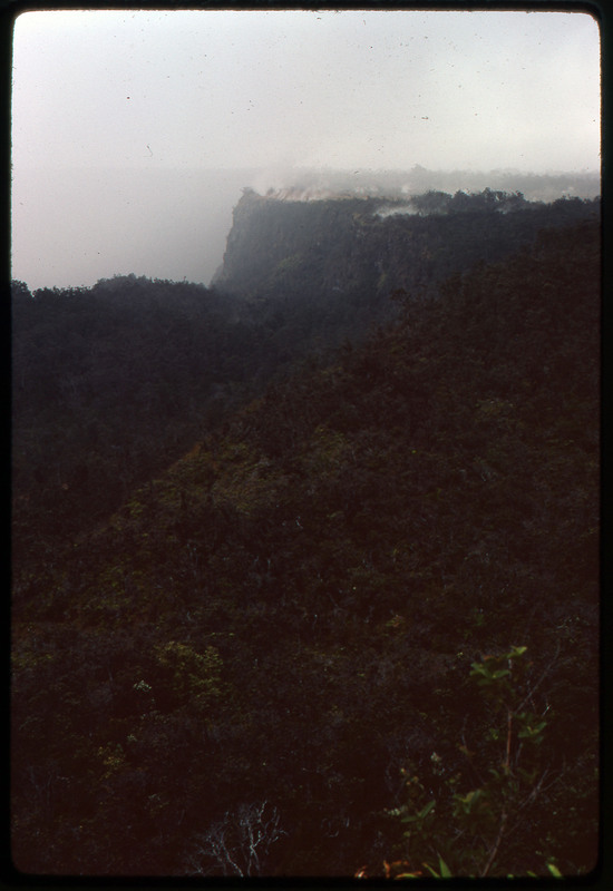 A photographic slide of trees growing on the side of hills made of volcanic rock.