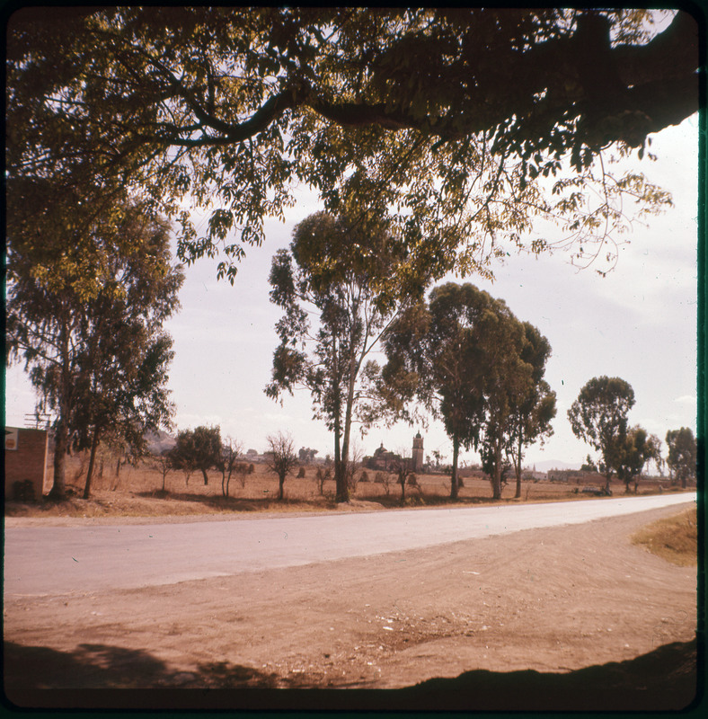 A photographic slide displaying a tree-lined street. The entire slide is tinted red.