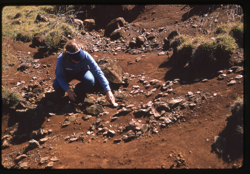 A photographic slide of a person analyzing lithic materials on a hillside. There are many rocks on the ground and grassy areas.