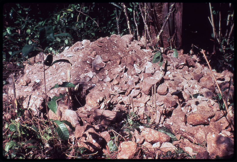 A photographic slide of a pile of debitage and rock. The pile is outside and includes soil and plants.