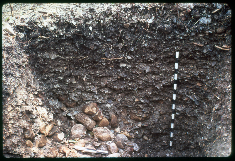 A photographic slide of an archaeological pit showing stratigraphy. There is a measurement pole in the photo and many rocks.