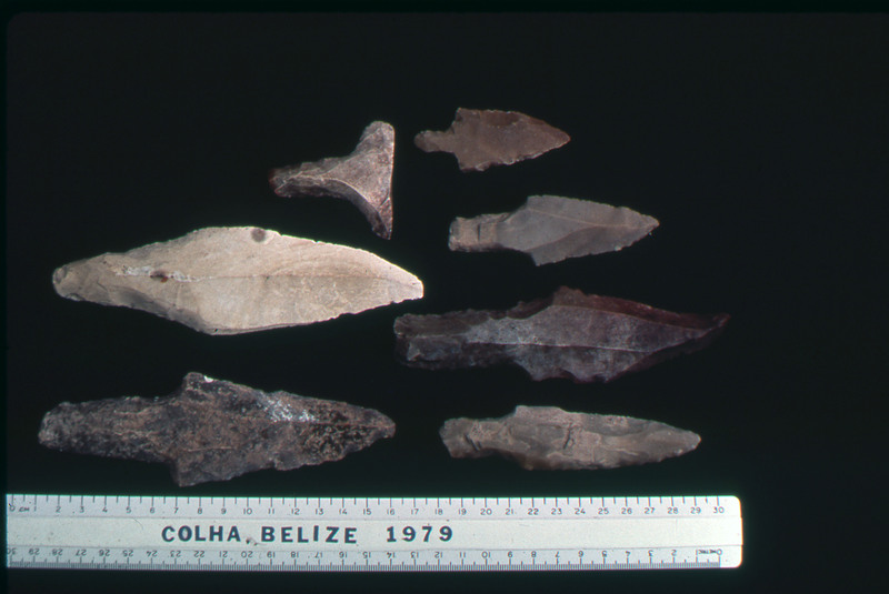 A photographic slide of an arrangement of bifaces aligned next to a ruler. They are arrowheads and from Colha, Belize in 1979.