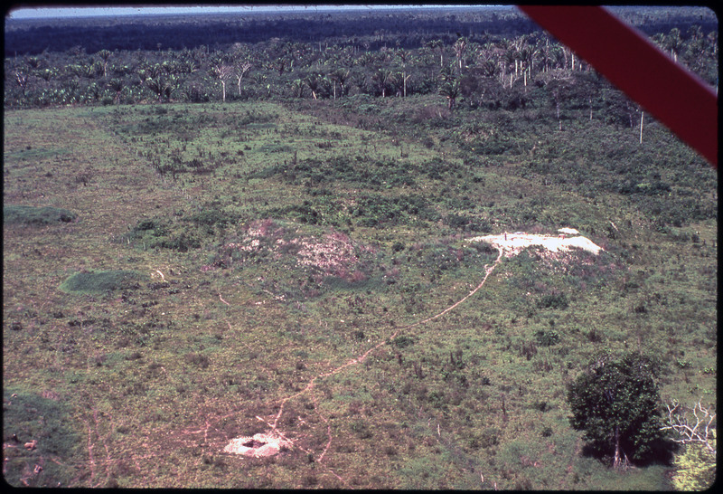 A photographic slide of a tropical agricultural field. There are trails and a large built up mound.