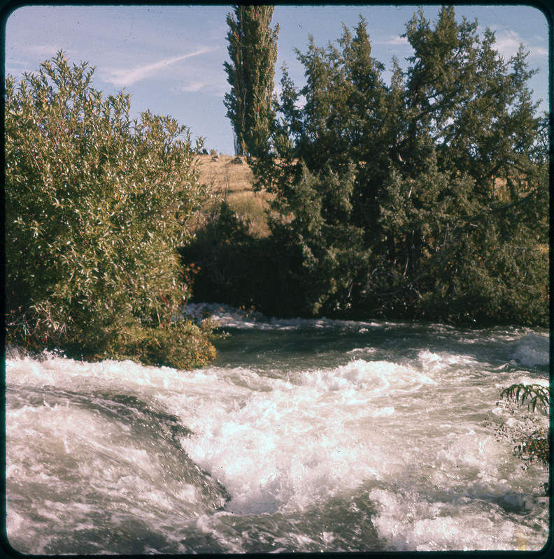 A photographic slide of a rushing river with trees and bushes along the edge. There is a field in the background.