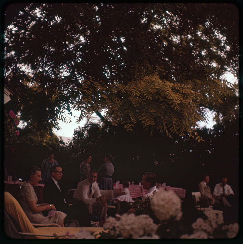 A photographic slide of people standing together outside under a large tree. The people are standing and sitting at picnic tables talking.