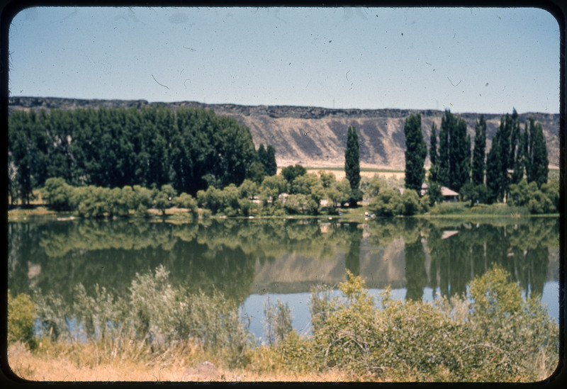 A photographic slide of a large body of water and many trees. There are mountains in the background.