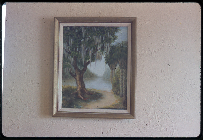 A photographic slide of a tree, palm trees, and a body of water. The painting is on a wall.