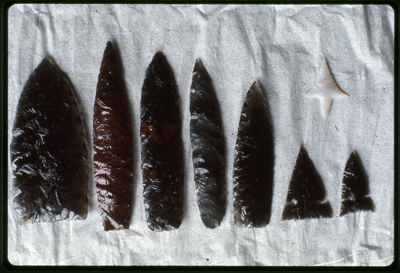 A photographic slide of eight bifaces arranged in a line. They are all black and one that is white.