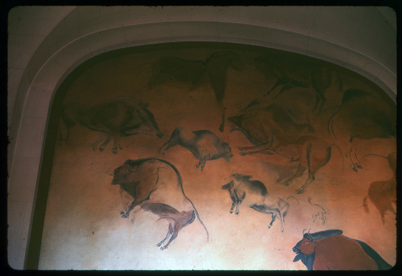 A photographic slide of a bull painted onto a wall. The painting appears to be ancient.