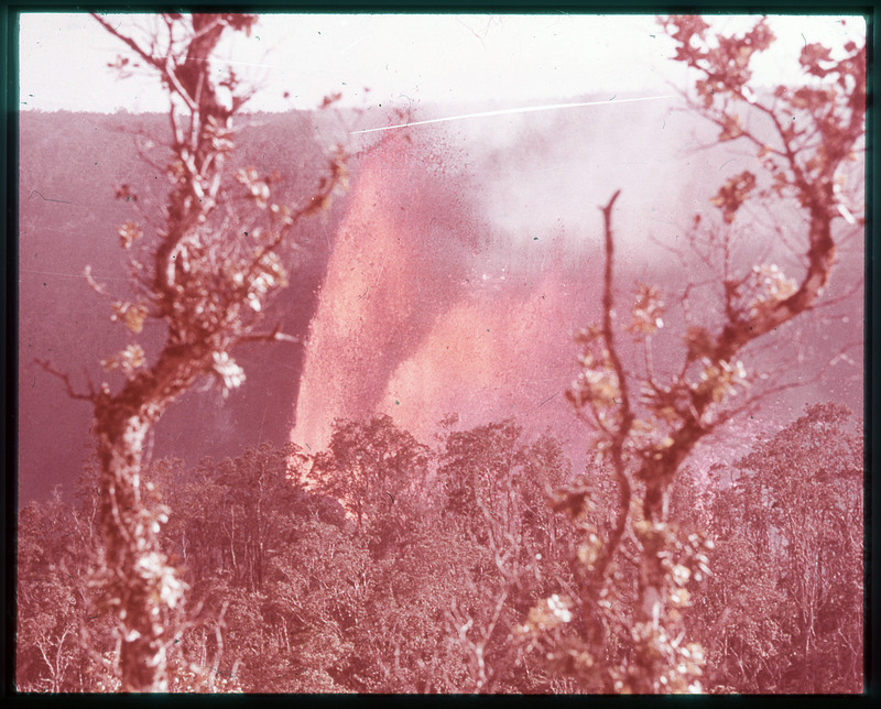 A photographic slide of lava spewing into the air among a bunch of trees.