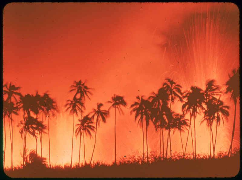 A photographic slide of lava spewing into the air behind palm trees. The trees are backlit.